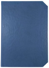 Agendă Nedată, 16 x 22 cm, 192 File, Linea, Ego