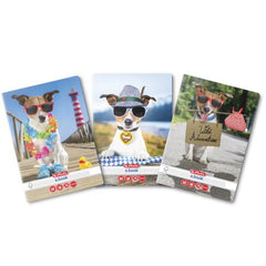 Caiet A5, 48 File, Matematică, Herlitz