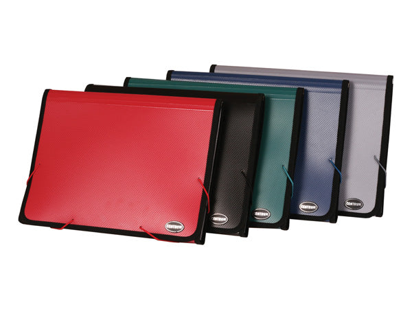 Mapă Plastic cu 13 Compartimente, Centrum