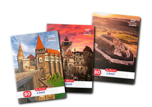 Caiet A4, 80 File, Dictando, Herlitz