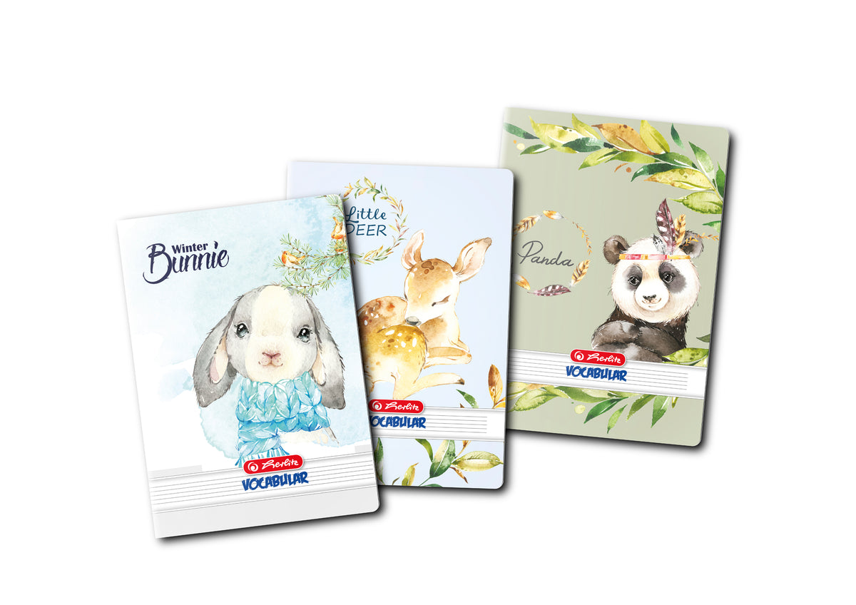 Vocabular, 24 File, Herlitz