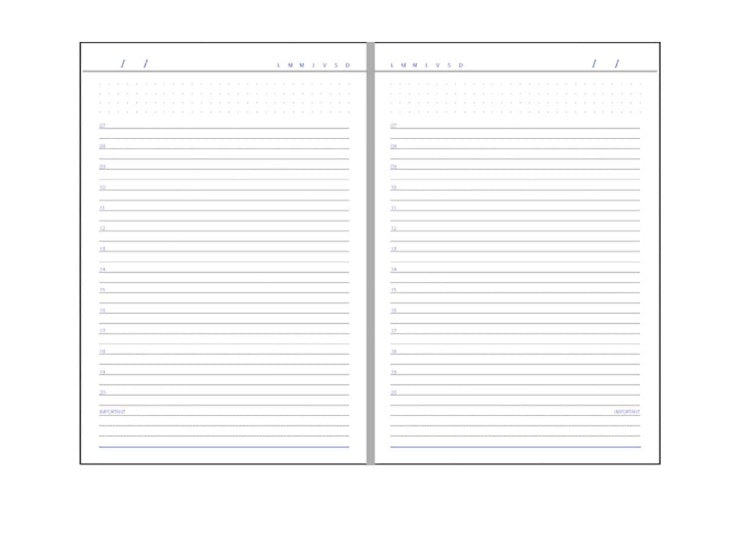 Agendă A5, Nedată, 192 File, Domino, Ego