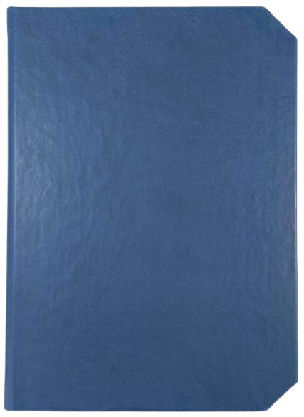 Agendă Nedată, 16 x 22 cm, 192 File, Linea, Ego