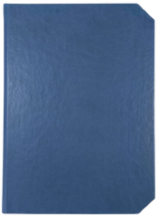 Agendă Nedată, 16 x 22 cm, 192 File, Linea, Ego