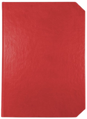 Agendă Nedată, 16 x 22 cm, 192 File, Linea, Ego