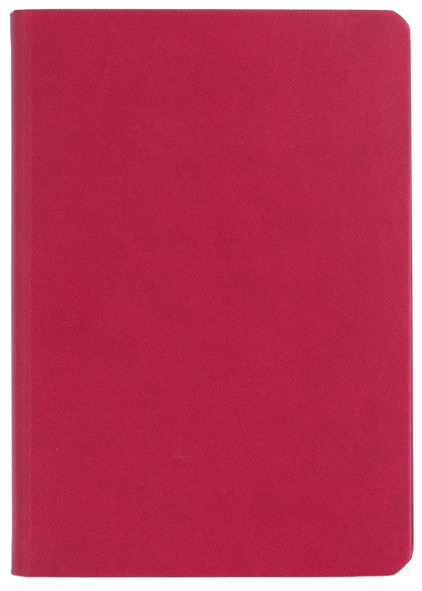 Agendă Nedată,  16 x 23.50 cm, 192 File, Marocco, Ego
