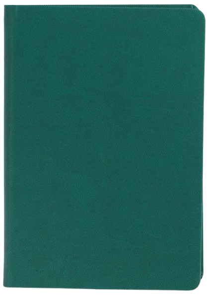 Agendă Nedată,  16 x 23.50 cm, 192 File, Marocco, Ego