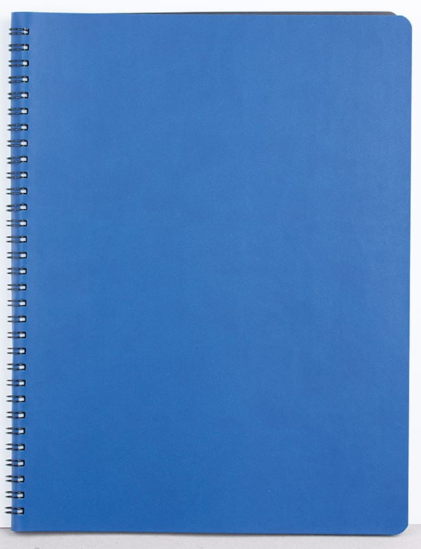Agendă Nedată,  20.50 x 27 cm, 128 File, Siena, Ego