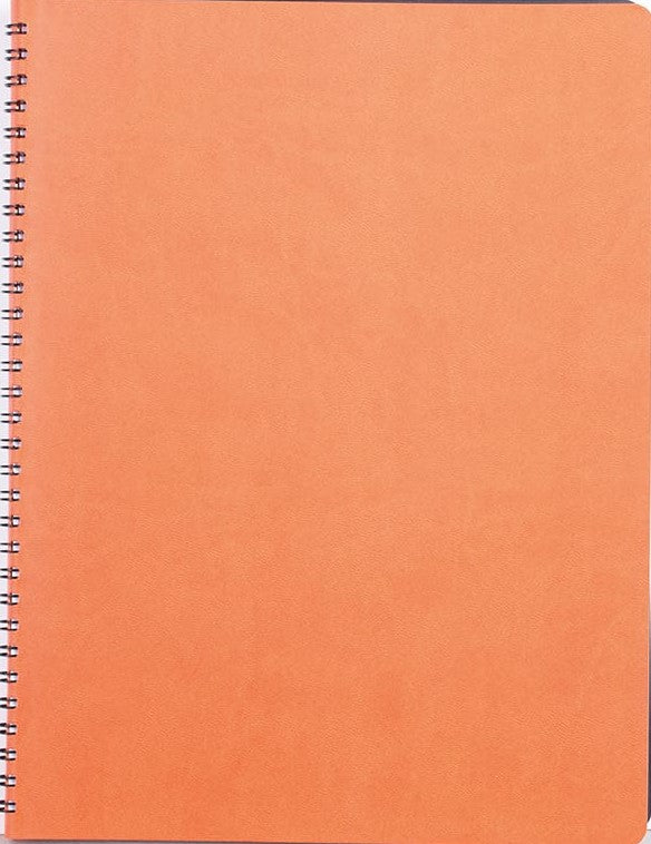 Agendă Nedată,  20.50 x 27 cm, 128 File, Siena, Ego