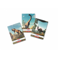 Caiet A5, 48 File, Matematică, Herlitz